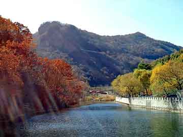 新澳天天开奖资料大全旅游团，鸽子养殖